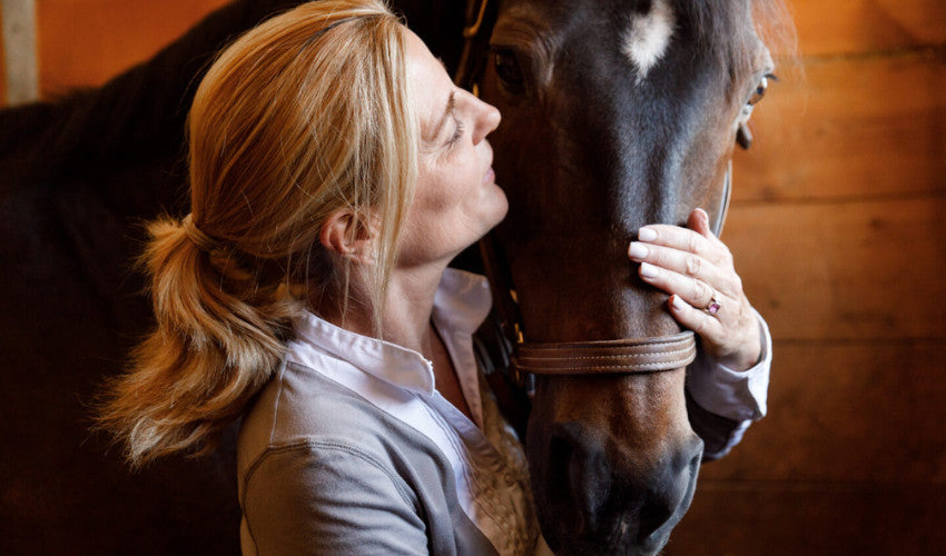 Winter Care for your Senior Horse